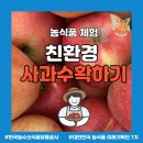 솔골농장 | [농식품체험] 친환경 사과 수확하기(feat. 거북이공동체 한은경생산자님)