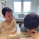 (주)걸리버세계여행 티스토리