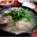 서민돼지국밥 Daum카페