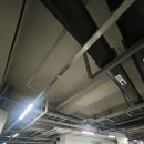 우성의원 | 메디피움 동탄의원_2025년 건강검진(위내시경)_주차장,검진시간,식사쿠폰[죽/국수]