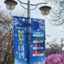 31140-7-49-21 | 부천 원미산 진달래축제 실시간 후기 (4월 1일 방문, 개화 절정, 명당, 코스 총정리)