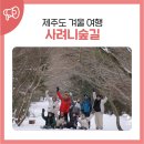 제주도 겨울 여행 사려니숲길 주차 입장 정보