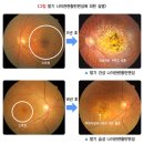 아이캐슬안경원 이미지