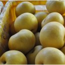 가재골농장 이미지