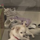 명성지압안마원 | 8월 넷, 다섯째 주 일상