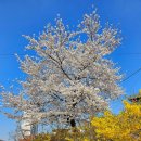 오리들2길 이미지