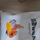 이안상사 이미지