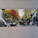 헤어파크 이미지