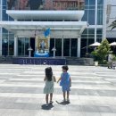 코끼리 키즈짐 이미지