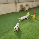 뭉스벨리 이미지