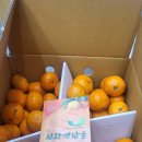 충무드림약국 이미지