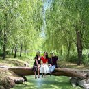 울산참사랑의집 | 6/6 울산 연암정원, 카페우리집, 함경면옥