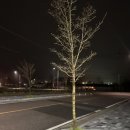 이성환피자 | 연천>이성환피자 포장 방문후기