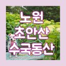 염광고등학교 | 서울 노원 초안산 수국동산 축제 주차장 정보 및 개화 사진
