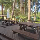 더강릉포레 이미지