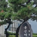 수송동신아파트 이미지