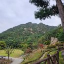 용봉산자연휴양림 | 서울근교당일여행 추천 고양이와 힐링하는 용봉산 자연휴양림 민들레실 이용후기