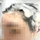 염색약샴푸 바디브 새치 염색샴푸 처음 써본 후기