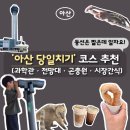 아산 당일치기 | 아이와 가기 좋은 호롱빛공원 완전 정복 (과학관·전망대·곤충원·전통시장)