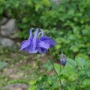 호텔 오월로 이미지