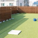 댕교오겠습니다 이미지