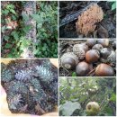 상이농장 이미지