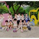 새싹유치원, 연세유치원 이미지