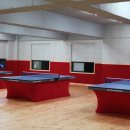 개방탁구 이미지