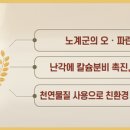 비엔피