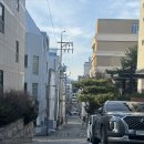 닥터봄춘의원 | 닥터손유나의원 지방분해주사 1회차