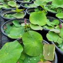 홍연농장 이미지