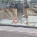 몽몽이발소 이미지