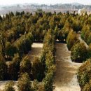 미로정원 이미지