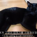 다홍번역
