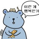 비발디투어 이미지