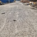 신령세탁소 이미지