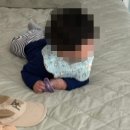 (주)파리크라상 파리바게뜨 카페신사점 | 먹는 일상, 스프카레, 굴보쌈 :: 11월 둘째주 일기