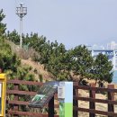 갈맷길 2-2코스 이미지