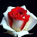 오늘하루 이미지