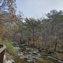 소백산 남천야영장2 이미지