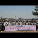 착한나무 이미지