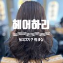 하리헤어 | 대구 구암동 미용실 칠곡3지구 헤어하리 보톡스 클리닉 후기