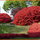 탱자한의원 이미지