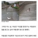 10년 전 세상 떠난 반려견 그리워 &#39;구글 로드뷰&#39; 검색했다가 오열한 주인 이미지