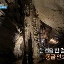 평창 백룡동굴 이미지