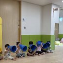 8월 2주 스마일체육 이미지