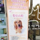 영심이살롱곰곰이호텔 이미지