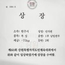 SBoxingGYM 네이버블로그