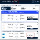 인천 시드니 항공권 대한항공 직항 비즈니스 발권 후기