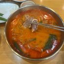한촌설렁탕제천왕암점 | 제천 왕암동 맛집 한촌설렁탕 N 번째 방문하는 최애 맛집 🫶🏻